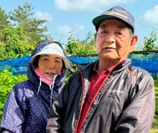 野津20世紀進物