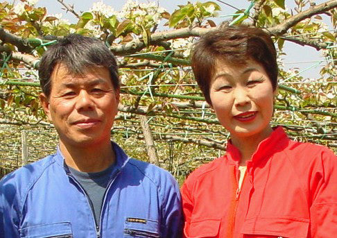 井田　２０世紀進物