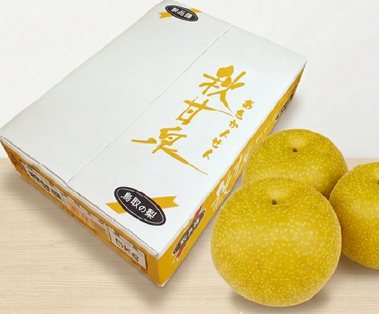 大山　秋甘泉進物